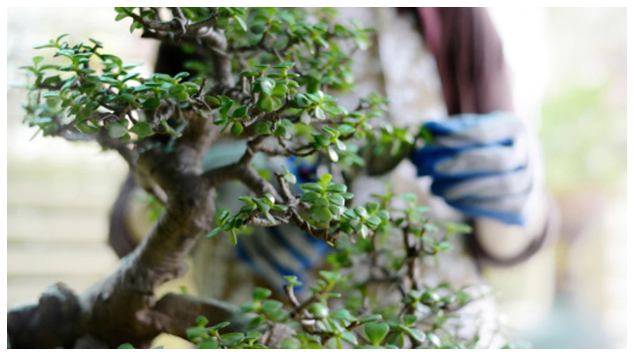 Start Business in ₹15,000, Earn Lakhs from Home – Get 50% Government Subsidy