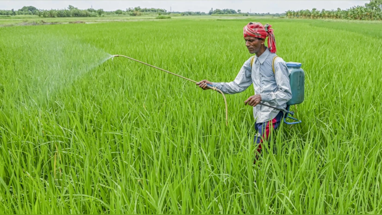 PMFBY: Luck Will Shine for 30 Lakh Farmers Today – Huge Money Will Come in Bank Accounts