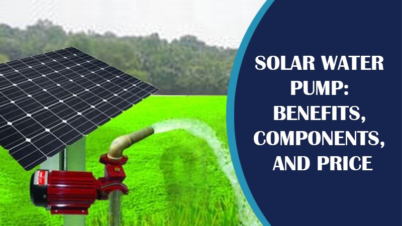 Solar Pump Subsidy Big Gift to Farmers, Solar Pumps Will Be Available at 90% Subsidy